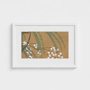 Blossoms from Momoyogusa - Kamisaka Sekka Art Print / Canvas Framed Artwork Delicate White Green Foliage Warm Sekka’s, Meiji Era’s Artistic