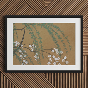 Blossoms from Momoyogusa - Kamisaka Sekka Art Print / Canvas, 30x20’’ / 76x51cm / Black Frame / Matboard, Posters Prints & Visual Artwork,