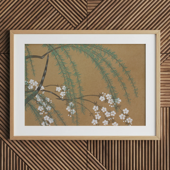 Blossoms from Momoyogusa - Kamisaka Sekka Art Print / Canvas, 30x20’’ / 76x51cm / Natural Frame / Matboard, Posters Prints & Visual