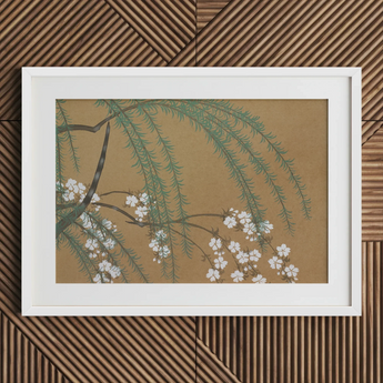 Blossoms from Momoyogusa - Kamisaka Sekka Art Print / Canvas, 30x20’’ / 76x51cm / White Frame / Matboard, Posters Prints & Visual Artwork,