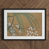 Blossoms from Momoyogusa - Kamisaka Sekka Art Print / Canvas Black-framed Artwork Delicate Illustration Green Willow Branches White