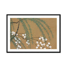 Blossoms from Momoyogusa - Kamisaka Sekka Art Print, Delicate White Cherry Blossoms Pine Branches Brown Backdrop
