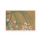 Blossoms from Momoyogusa - Kamisaka Sekka Art Print, Delicate White Cherry Blossoms Pine Needles Brown Backdrop