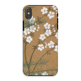 Blossoms from Momoyogusa - Kamisaka Sekka Phone Case Iphone Xs / Matte Floral-patterned White Tan Background, Timeless Rinpa Artistry