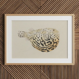 Blowfish - Luigi Balugani Sea Life Art Print / Canvas, 30x20’’ / 76x51cm / Natural Frame / Matboard, Posters Prints & Visual Artwork, Toby