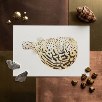 Blowfish - Luigi Balugani Sea Life Art Print / Canvas Detailed Watercolor Illustration Spotted Pufferfish White Paper Intricate Luigi