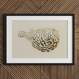 Blowfish - Luigi Balugani Sea Life Art Print / Canvas Framed Artwork Detailed Illustration Spotted Pufferfish Intricate Black Balugani’s