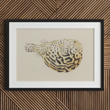 Blowfish - Luigi Balugani Sea Life Art Print / Canvas Framed Artwork Detailed Illustration Spotted Pufferfish Intricate Black Luigi