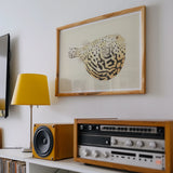 Blowfish - Luigi Balugani Sea Life Art Print / Canvas Framed Artwork Pufferfish Black White Balugani’s Sketchbook, Puffed-up Charmer, Prints