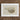 Framed Illustration Spotted Pufferfish Intricate Black Beige Patterns Luigi Balugani’s Sketchbook, Puffed-up Charmer, Balugani Sea Life