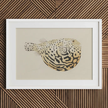 Blowfish - Luigi Balugani Sea Life Art Print / Canvas Framed Illustration Spotted Pufferfish Intricate Black Beige Patterns Balugani’s