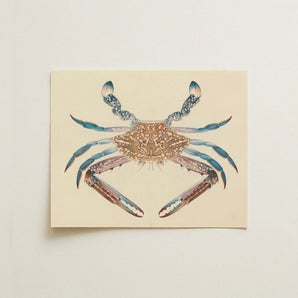 Blue Crab - Luigi Balugani Marine Life Art Print / Canvas Beige Card Detailed Illustration Intricate Patterns, Sea Prints