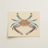 Blue Crab - Luigi Balugani Marine Life Art Print / Canvas Beige Card Detailed Illustration Blue Crab Intricate Patterns Luigi Balugani,