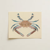 Blue Crab - Luigi Balugani Marine Life Art Print / Canvas Beige Card Detailed Illustration Intricate Patterns, Sea Prints