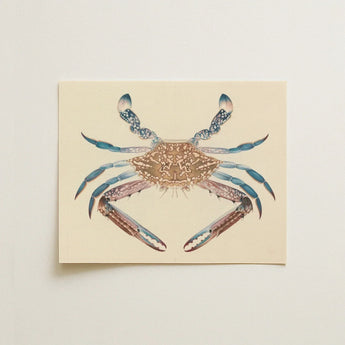 Blue Crab - Luigi Balugani Marine Life Art Print / Canvas Beige Card Detailed Illustration Intricate Patterns, Sea Prints