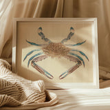 Blue Crab - Luigi Balugani Marine Life Art Print / Canvas Framed Watercolor Painting Brown, Sea Prints