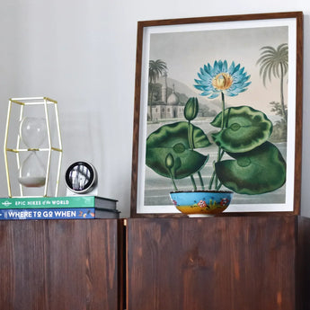 Blue Egyptian Water Lily - Robert John Thornton Art Print / Canvas Framed Botanical Print Blue Lotus Flower Large Green Robert John