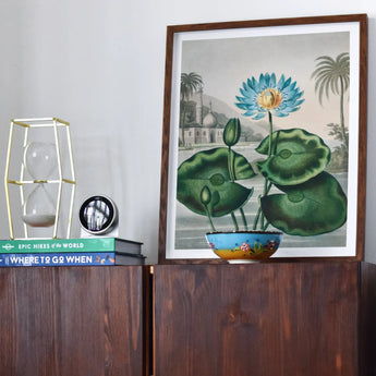 Blue Egyptian Water Lily - Robert John Thornton Art Print / Canvas Framed Botanical Lotus Flower Large Green, Masterfully Prints