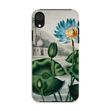 Blue Egyptian Water Lily - Robert John Thornton Phone Case Iphone Xr / Matte Floral Phone Case Egyptian Water Lily, Robert John Thornton,