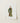 Delicate Illustration Buddhist Monk Olive-green Robes Black Red Chinese, Qing Dynasty Manchu Clothing, Art