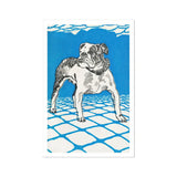 Bulldog - Moriz Jung Lithograph Dog Art Print / Canvas Black White Illustration Muscular Alert Pose Jung’s, Leaps, Prints