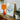 Bush Cane - Pierre-joseph Redouté Botanist Art Print, 18x24’’ / 46x61cm / Unframed, Orange Glass Table Lamp Ribbed Base Cylindrical Shade