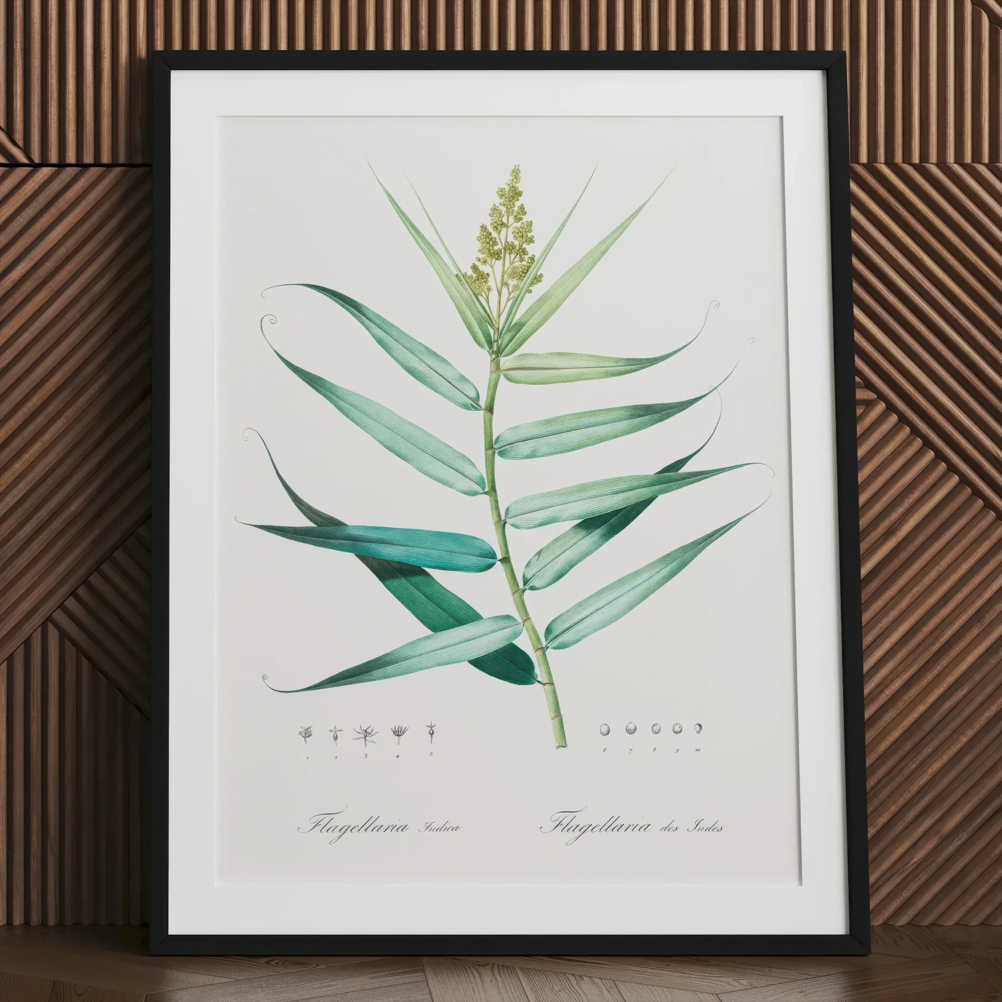 Bush Cane Pierre Joseph Redouté Botanist Art Print, 30x40’’ / 76x101cm / Unframed, Framed Botanical Illustration Green Plant Long Leaves