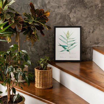 Bush Cane - Pierre-joseph Redouté Botanist Art Print / Canvas Framed Botanical Green Fern Leaf Display Redouté, Redouté’s, Prints