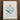 Framed Botanical Illustration Green Leafy Plant Delicate Elongated Pierre-joseph Redouté, Redouté’s Bush Cane, Botanist Art Print