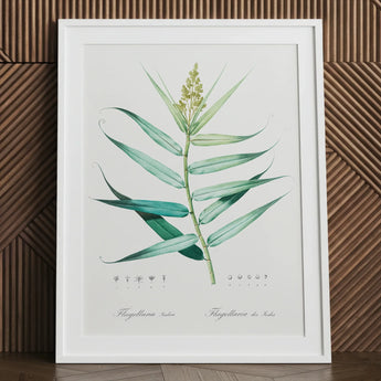 Bush Cane - Pierre-joseph Redouté Botanist Art Print / Canvas Framed Botanical Illustration Green Leafy Plant Delicate Yellow Redouté,