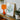 Orange Glass Table Lamp Ribbed Base Cylindrical Shade Pierre-joseph Redouté, Redouté’s Bush Cane, Botanist Art Print