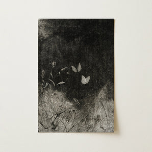Butterflies - William Baxter Closson Art Print / Canvas, 12x18’’ / 31x46cm / Unframed / no Border, Posters Prints & Visual Artwork, Toby