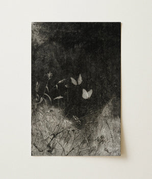 Black-and-white Botanical Print Delicate White Butterflies Amidst Textured William Baxter Closson, Art, Meadow Stems