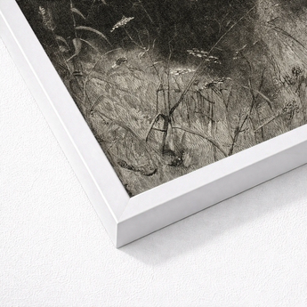 White Framed Black Botanical Print William Baxter Closson, Art, Meadow Stems