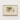Framed Illustration Striped Butterflyfish Soft Beige Tones Encased Luigi Balugani, Sea Life, Marine Artistry