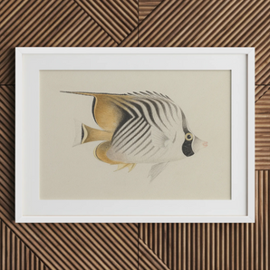 Poisson-papillon - Luigi Balugani impression d’art sur le thème de la vie océanique / toile, affiches, tirages et œuvres d’art visuel, Toby Leon