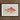 Framed Illustration Pink Fish Detailed Scales Fins Set Luigi Balugani, Caribbean Red Snapper, Exquisite Fine Art Print