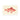 Caribbean Red Snapper - Luigi Balugani Sea Life Art Print, Pink-colored Fish Reddish Fins Scales