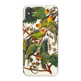 Carolina Parrots - John James Audubon Phone Case, Iphone x / Matte, Mobile Cases, Toby Leon