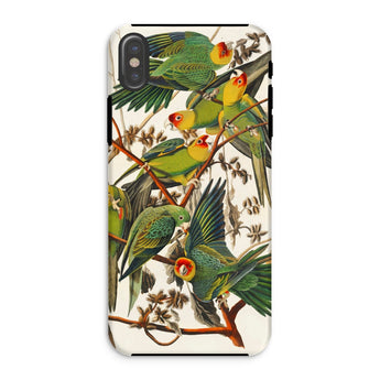 Carolina Parrots - John James Audubon Phone Case, Iphone Xs / Matte, Mobile Cases, Toby Leon