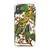 Carolina Parrots - John James Audubon Phone Case, Iphone Xs Max / Matte, Mobile Cases, Toby Leon