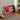 Casanova - Pink Lotus Flower Photography Art Print, 32x24’’ / 81x61cm / Unframed, Framed Photograph Pink Water Lily Bloom White-tipped
