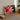 Framed Photograph Pink Water Lily Bloom White-tipped Petals Red Lotus Flower, Art, Photography