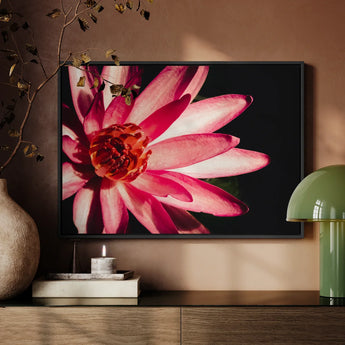 Casanova - Pink Lotus Flower Photography Art Print / Canvas, Red Lotus Flower, Lotus Flower Art, Lotus Flower Photography