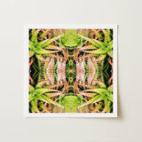 Center Stage - Trippy Cactus Art Print / Canvas Square-framed Symmetrical Kaleidoscopic Pattern Green Pinkish Succulent, Botanical