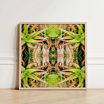 Square-framed Artwork Symmetrical Kaleidoscopic Pattern Green Pinkish Succulent Trippy Cactus, Art, Botanical Surrealism Meets