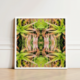 Framed Square Art Print Symmetrical Kaleidoscopic Design Green Trippy Cactus Succulent, Botanical Surrealism Meets