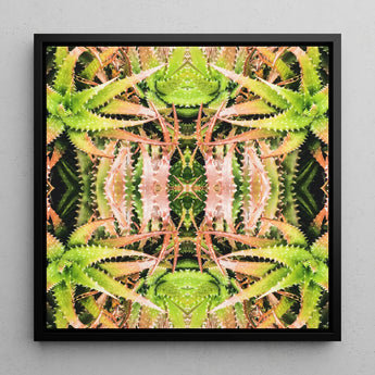 Centre Stage - Trippy Cactus Art Print / Canvas, Trippy Cactus Succulent, Cactus Succulent Art, Botanical Surrealism Meets