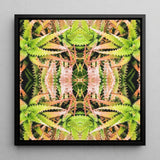 Center Stage - Trippy Cactus Art Print / Canvas Framed Square Artwork Symmetrical Kaleidoscopic Pattern Green Pinkish-aqua Succulent,