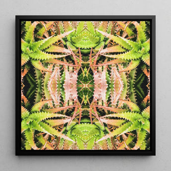 Center Stage - Trippy Cactus Art Print / Canvas Framed Square Artwork Symmetrical Kaleidoscopic Pattern Green Pinkish-aqua Succulent,